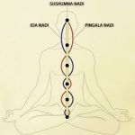 Kundalini Yoga - Energy